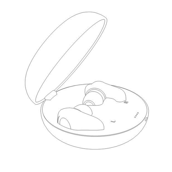 image of earbud case